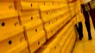 თქვენ უნდა გიყვარდეთ ...